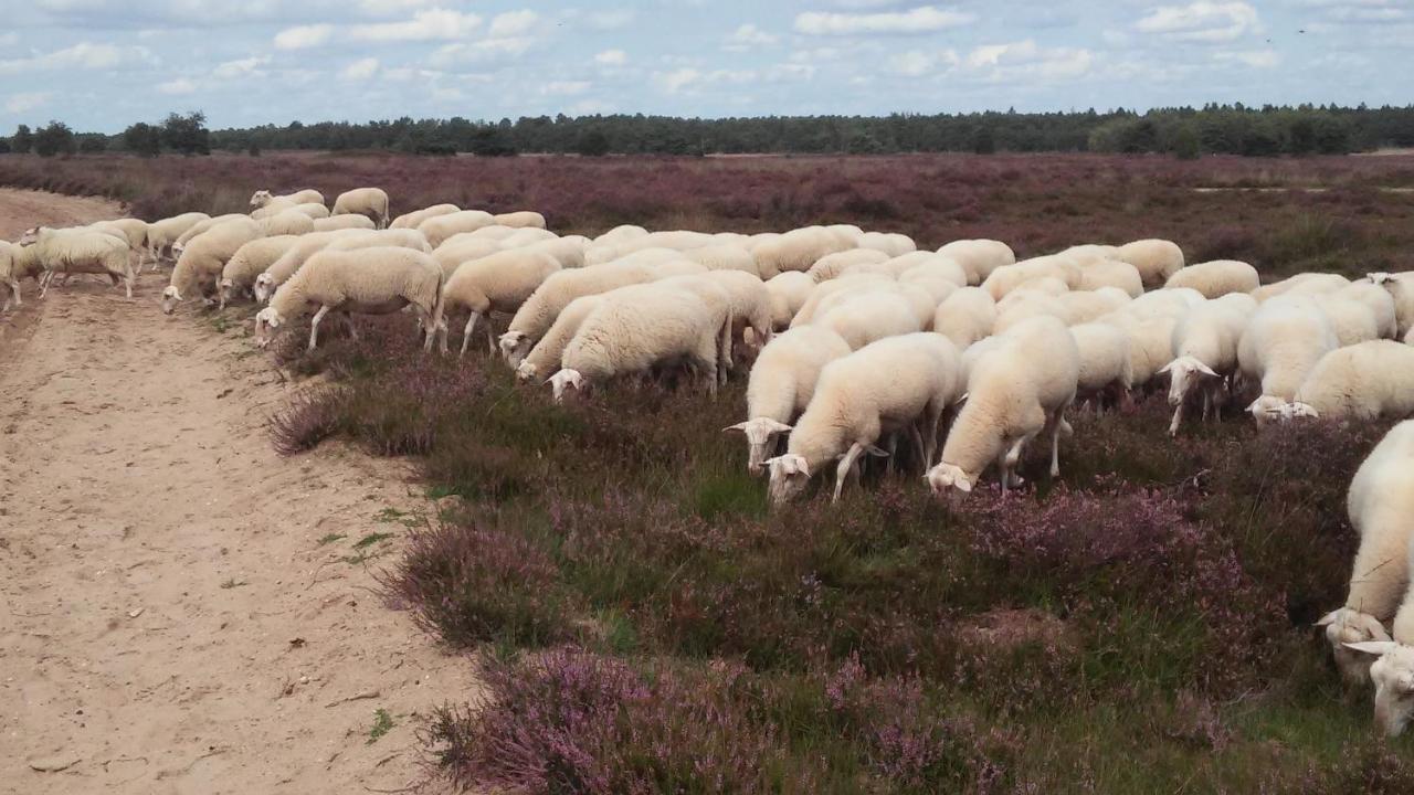 Poort Van De Veluwe Voorthuizen Exterior photo